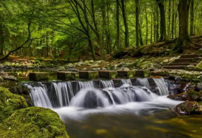 ​怦然心动中那些经典的台词
