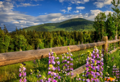 ​平安夜贺卡祝福语50句