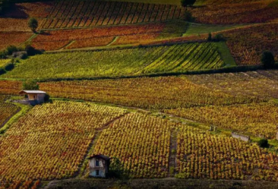 ​蒲松龄《狼》阅读练习题及*