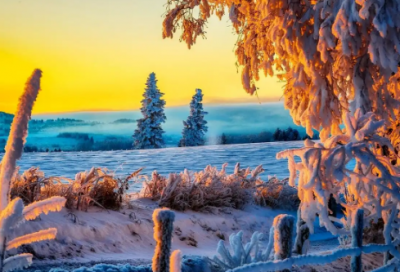 ​青春的寄语简短155句