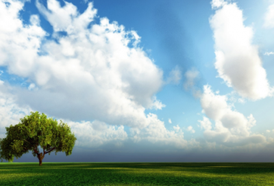 ​人物描写片段及赏析