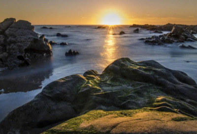 ​三毛经典语录100句