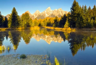 ​三七女生节活动策划书