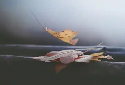 ​三体读后感心得1000字