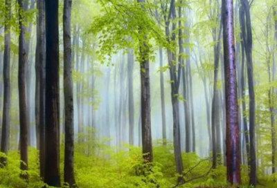 ​调研报告范文3000字