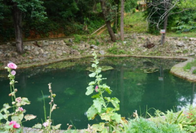 ​卫星电视传输中广播节目的接收方法论文