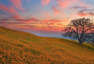 ​现代讲诚信的故事