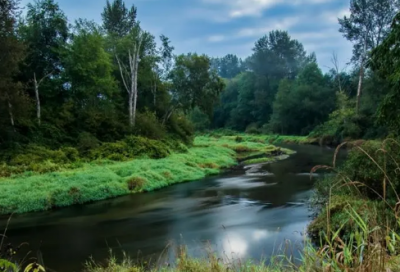 ​乡村的风阅读题及*