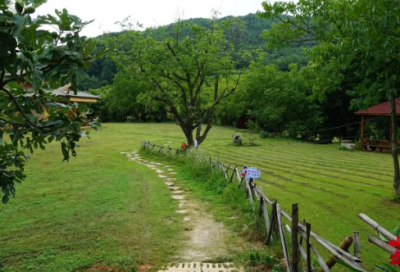 ​小品主持串词范文