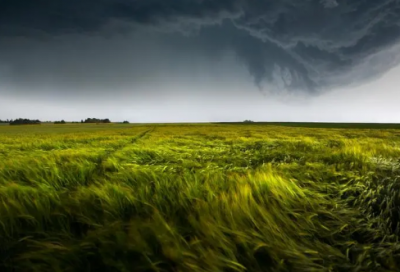​小学生四年级家长寄语