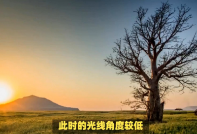 ​写爱心是什么的排比句