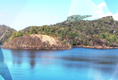 ​养龟风水与属相禁忌有哪些