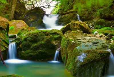 ​一岗双责制度