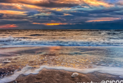 ​一则关于分享的小故事