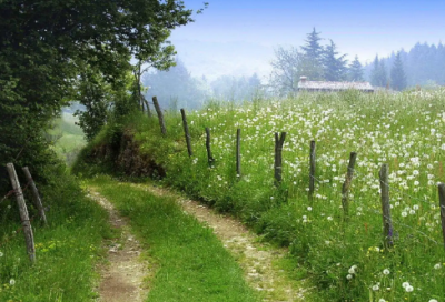 ​幼儿园舞蹈节目串词