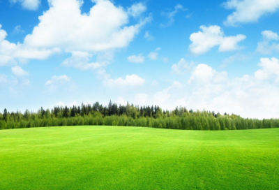 ​长门赋原文及翻译