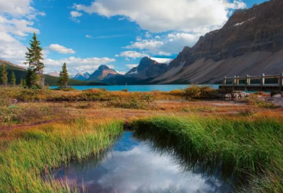 ​儿童字谜大全