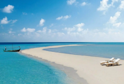 ​多肉植物黄丽怎么养-黄丽的养护方法