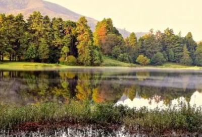 ​定语从句引导词有哪些