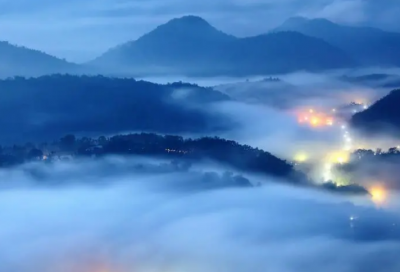 ​灯笼草的功效与作用