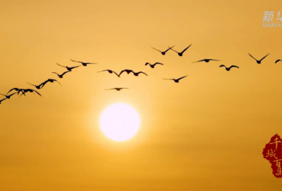 ​大学班级圣诞晚会创意策划