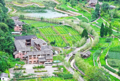 ​大唐圣教序全文及译文