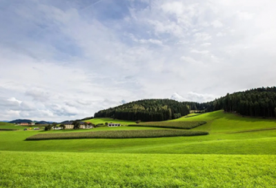 ​《燕子》说课稿范文