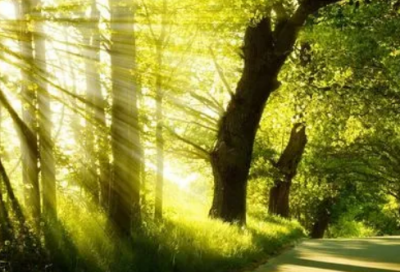 ​大悲咒全文大意