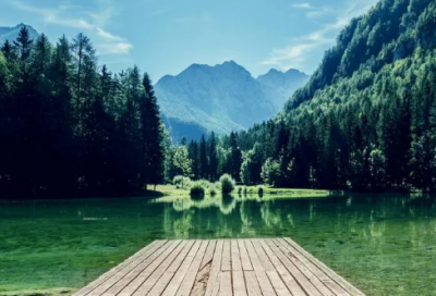 ​穿山龙的功效与作用