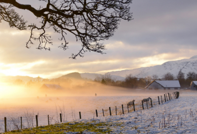 ​唱念做打的意思