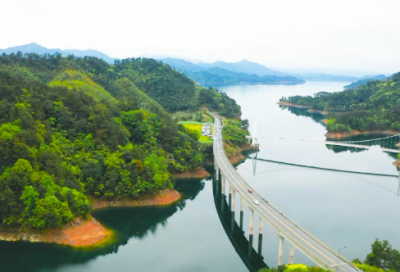 ​扁豆的功效与作用