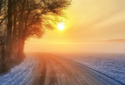 ​36种动物谜语解释