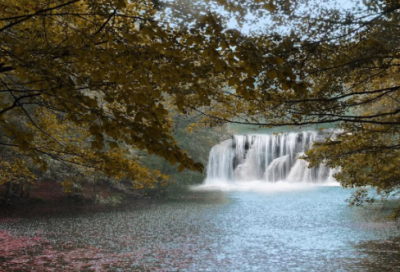 ​《秋天的怀念》教学课件