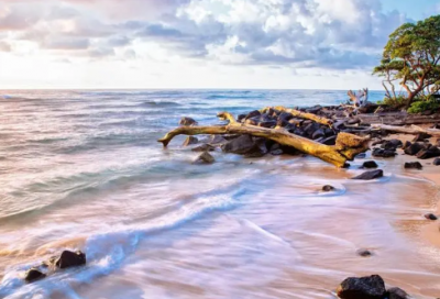 ​《念奴娇赤壁怀古》赏析