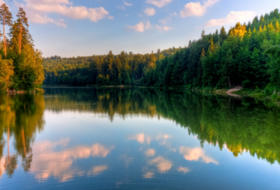 ​《论语》十二章原文及翻译