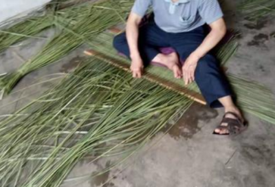 ​《芦花荡》课文原文