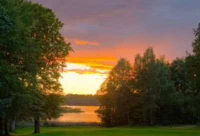 ​《孔雀东南飞》的原文及译文