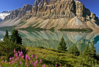 ​《可可小爱》观后感300字