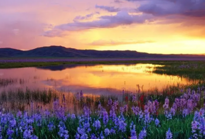 ​资本论读后感1500字