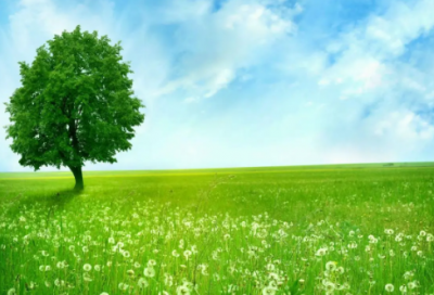 ​最新毕业时对老师说的话