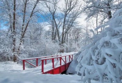 ​做人原则优选277句