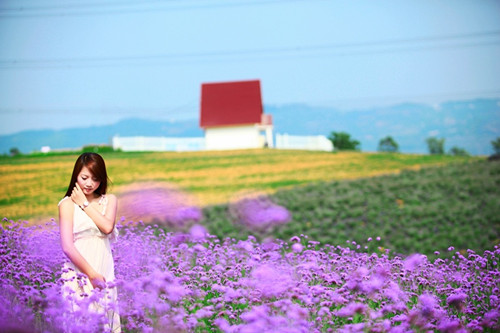 好听的王雨涵名字（王雨涵姓名测试）