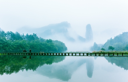 马甲格式大全大全精选80个