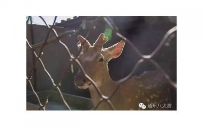 ​伤痕累累的我，这些被爱情伤的网名让你感同身受