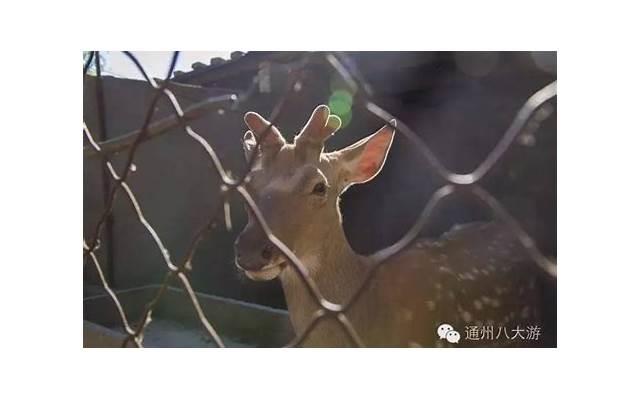 伤痕累累的我，这些被爱情伤的网名让你感同身受