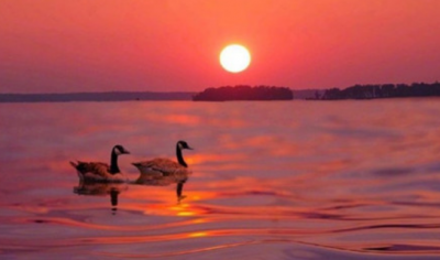 ​好听的花椒名称 花椒名字大全霸气