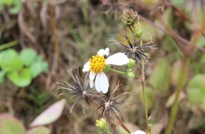 ​群里取一个什么昵称最搞笑(精选30个)