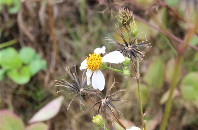 群里取一个什么昵称最搞笑(精选30个)