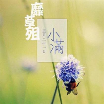 很甜很撩的早安