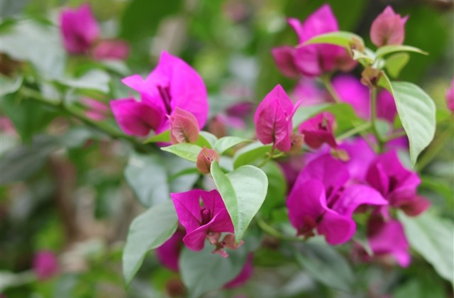 简单好听的游戏名字(优选270个)